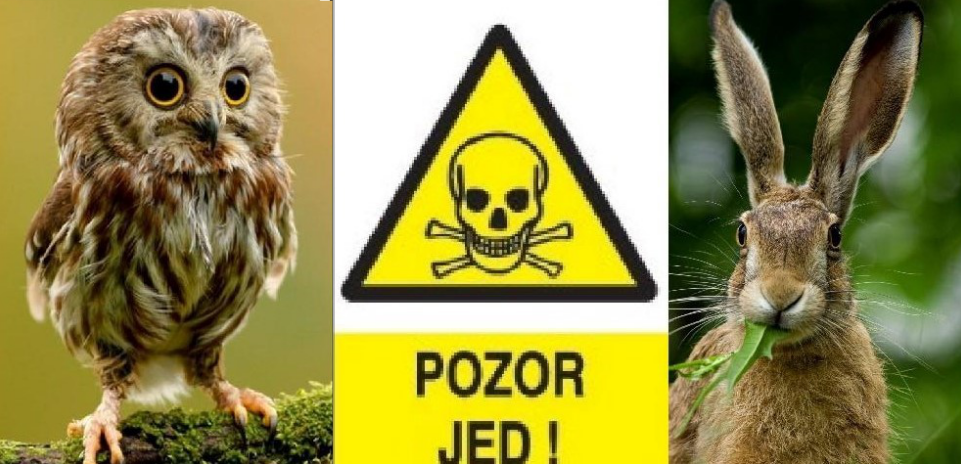 Interpelujeme ministra zemědělství o plošném použití jedů